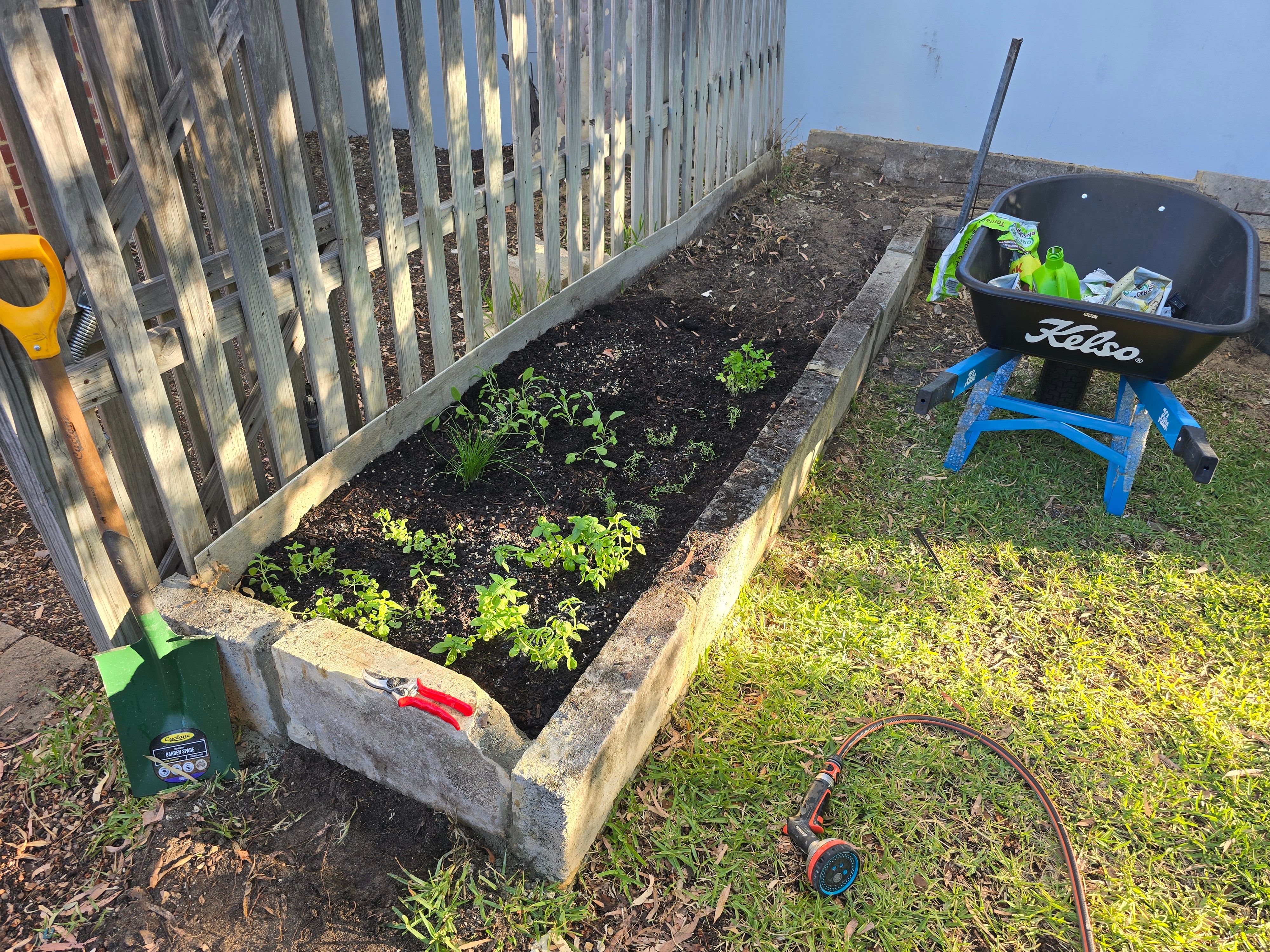 01jan25 - pic of my humble herb garden