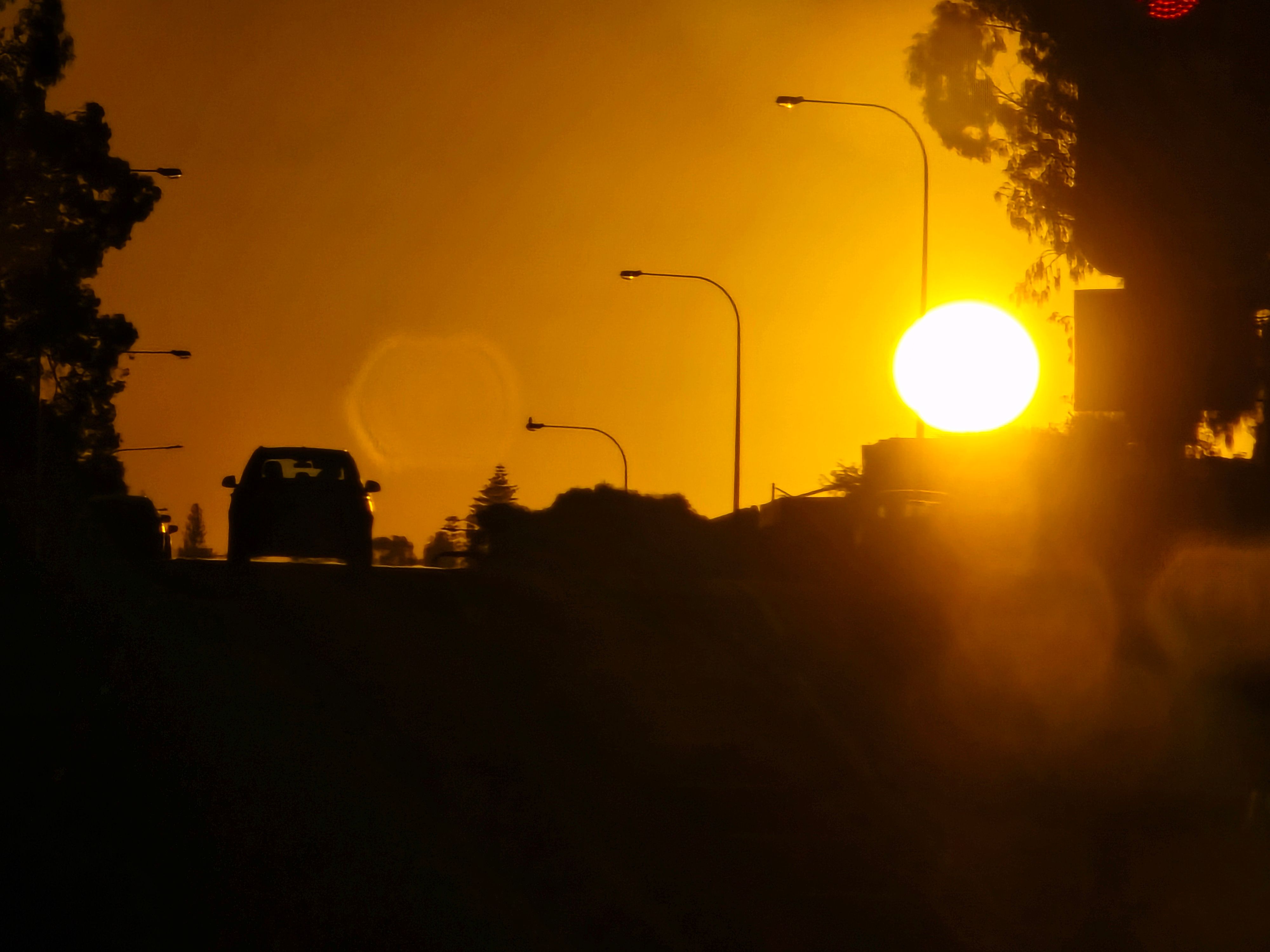 10mar25 - my birthday! pic is of the brightest god damn sunset ever